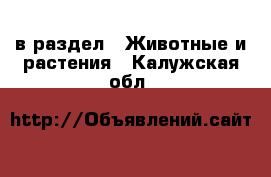  в раздел : Животные и растения . Калужская обл.